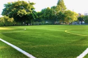 Sacred Heart R C Primary School | 3G astroturf Football Pitch