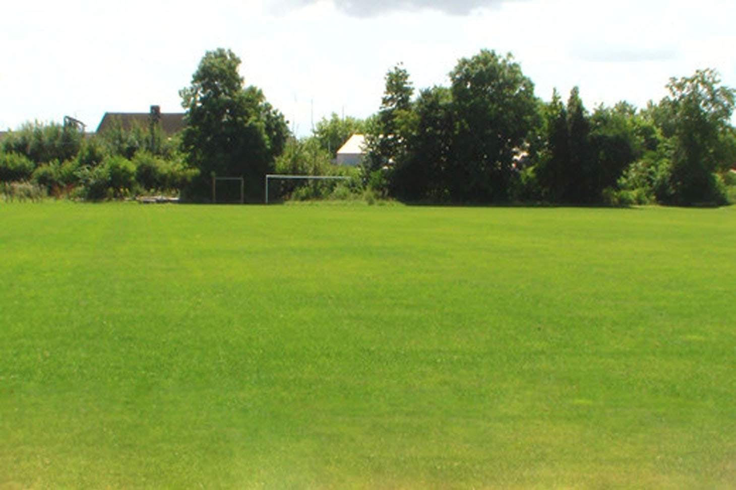 The Academy of St Nicholas Pitch | Grass rugby pitch