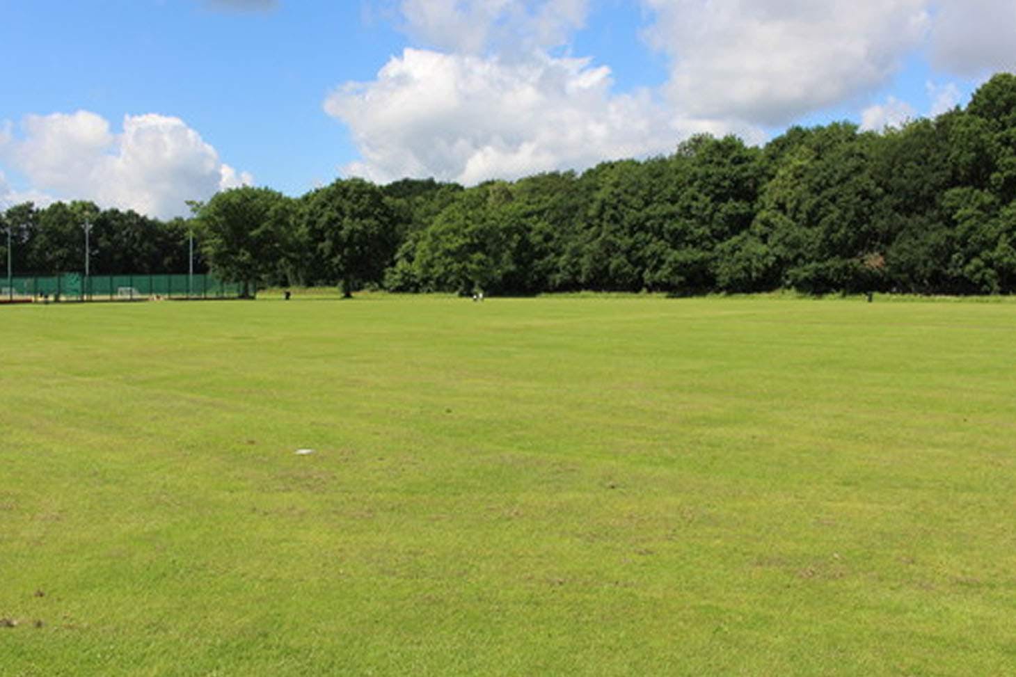 Light Hall School Outdoor | Grass cricket facilities