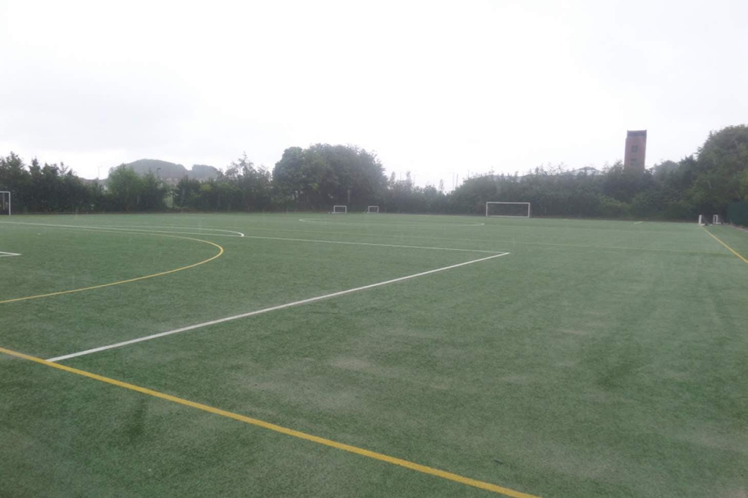 Ralph Thoresby School 11 a side | Astroturf football pitch