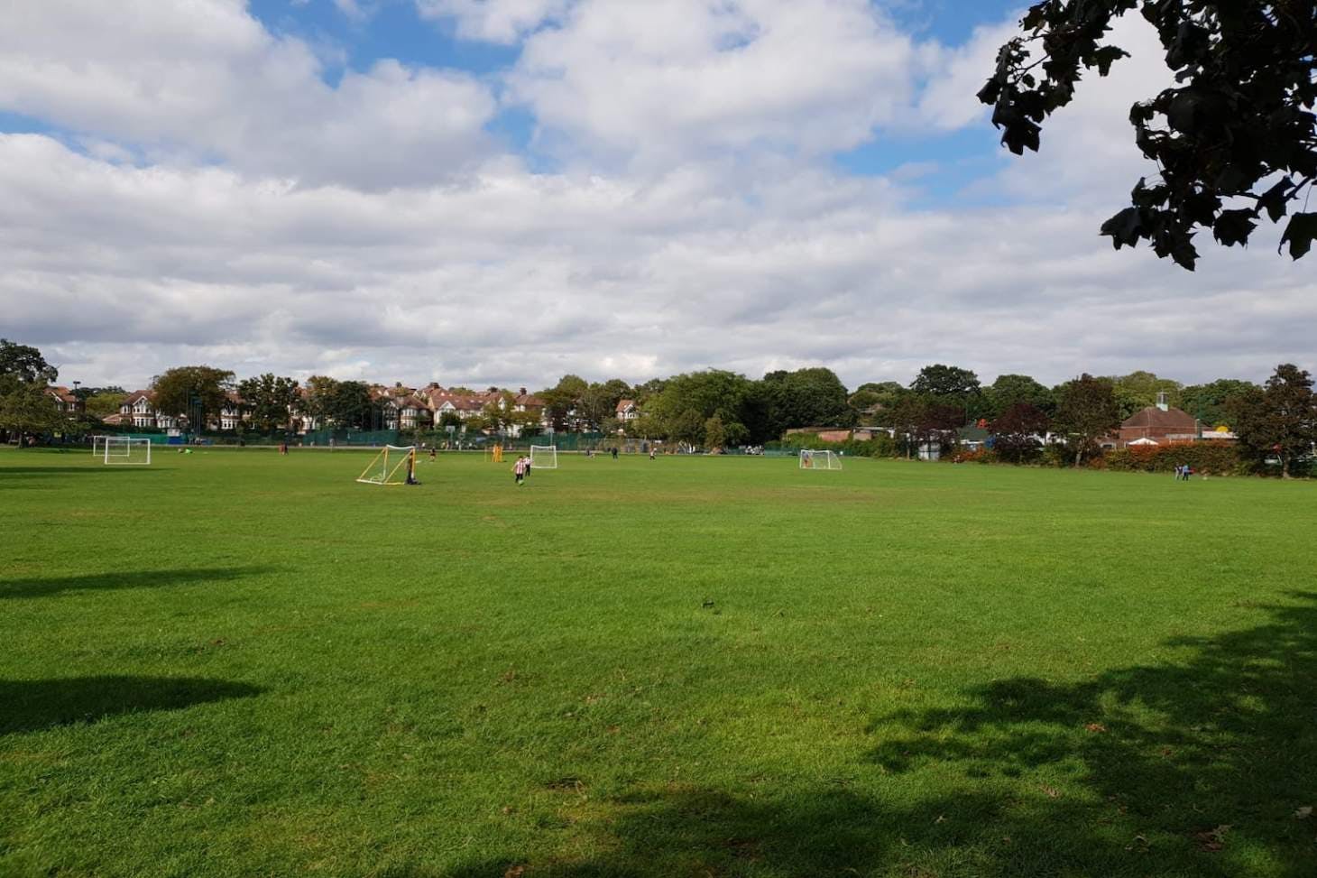O.R. Tambo Recreation Ground (formerly Albert Road Rec)