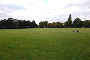 Markfield Park | Grass Football Pitch