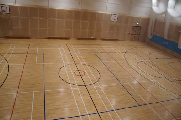 Wye School Court | Sports hall volleyball court