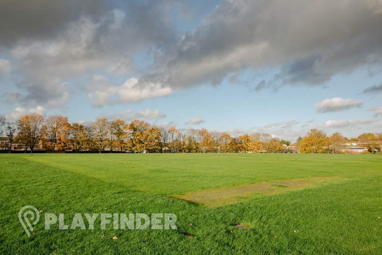 Stratton Park Playing Fields Pitch | Grass cricket facilities