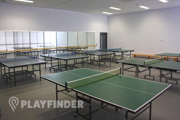 The Academy of St Nicholas Table | Indoor table tennis table