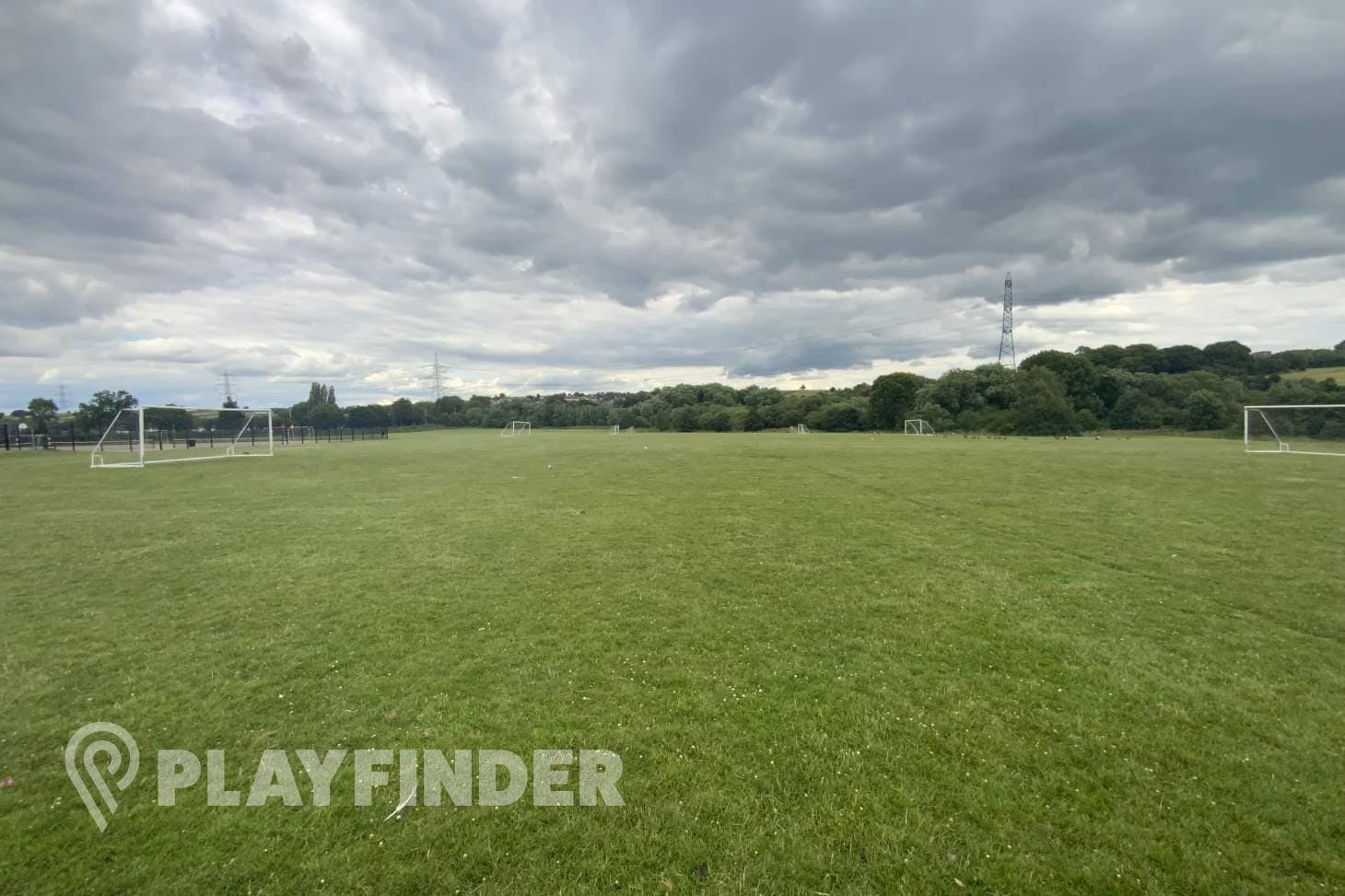 Netherthorpe School 11 a side pitch | Grass football pitch