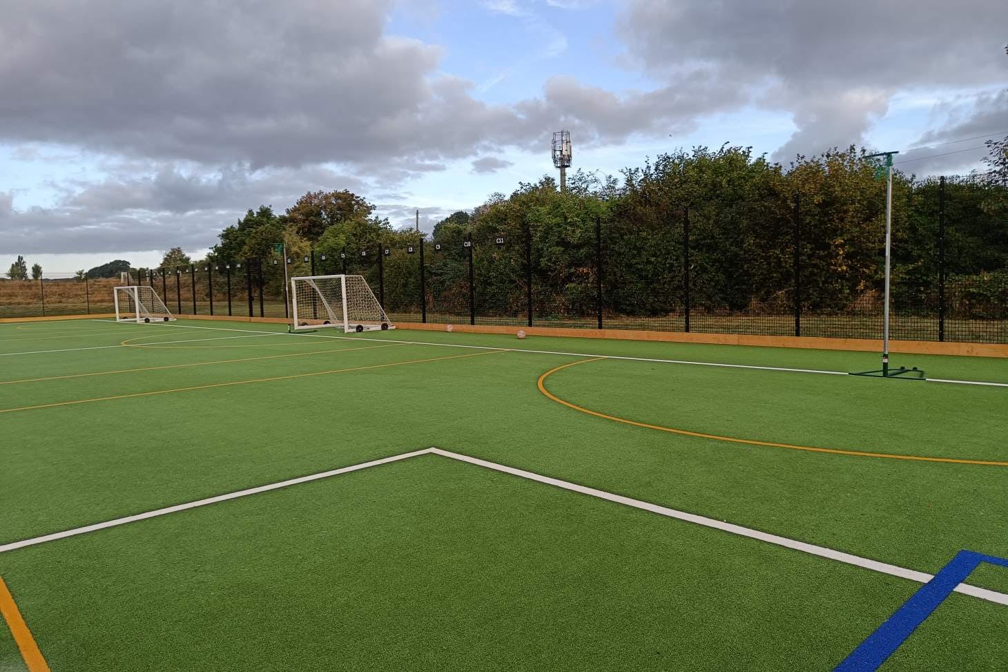 Haberdasher's Crayford Academy Outdoor | Astroturf netball court