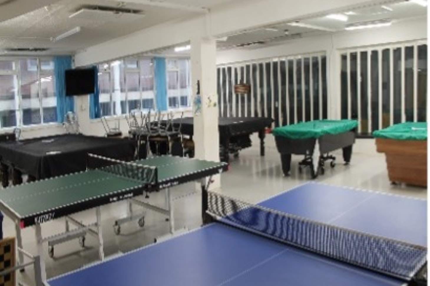 The Downside Settlement Table | Indoor table tennis table