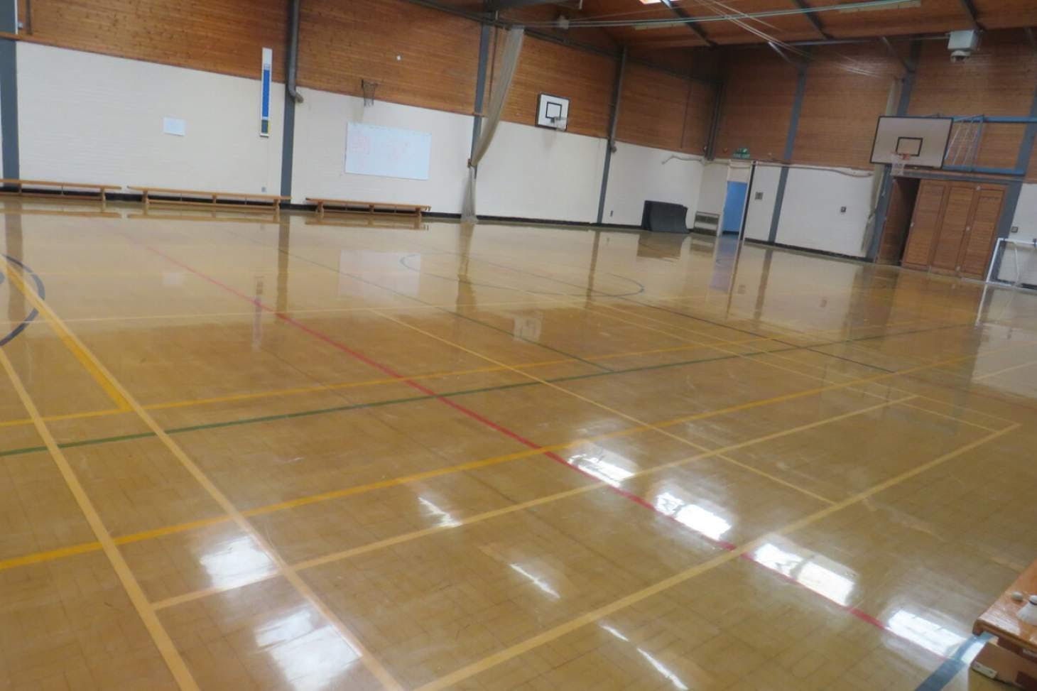 Lady Manners School Court | Sports hall basketball court