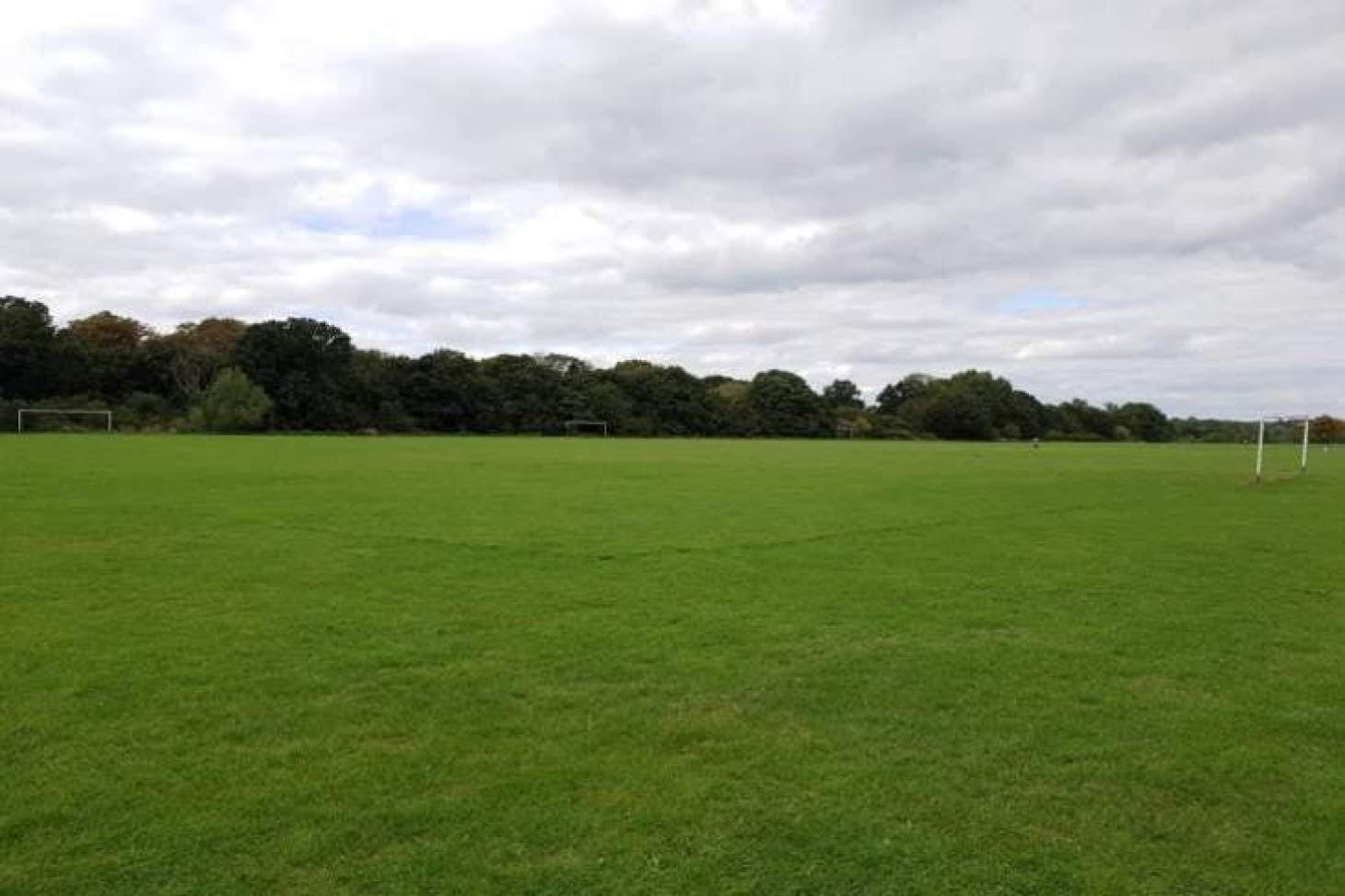 Muswell Hill Playing Fields 5 a side | Grass football pitch