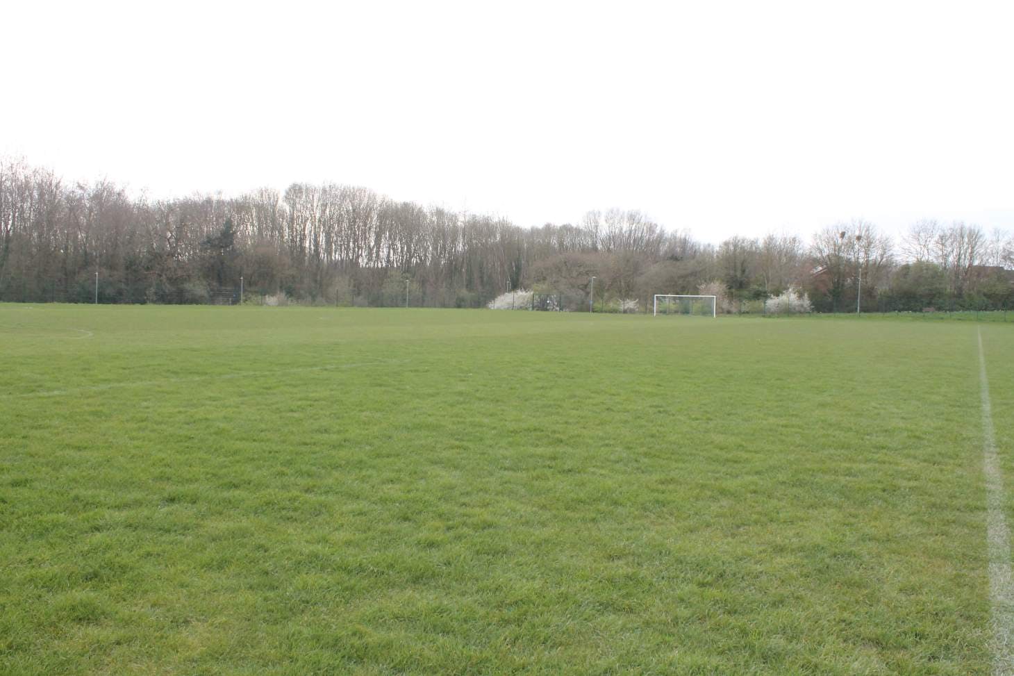 Holy Trinity Academy 11 a side | Grass football pitch