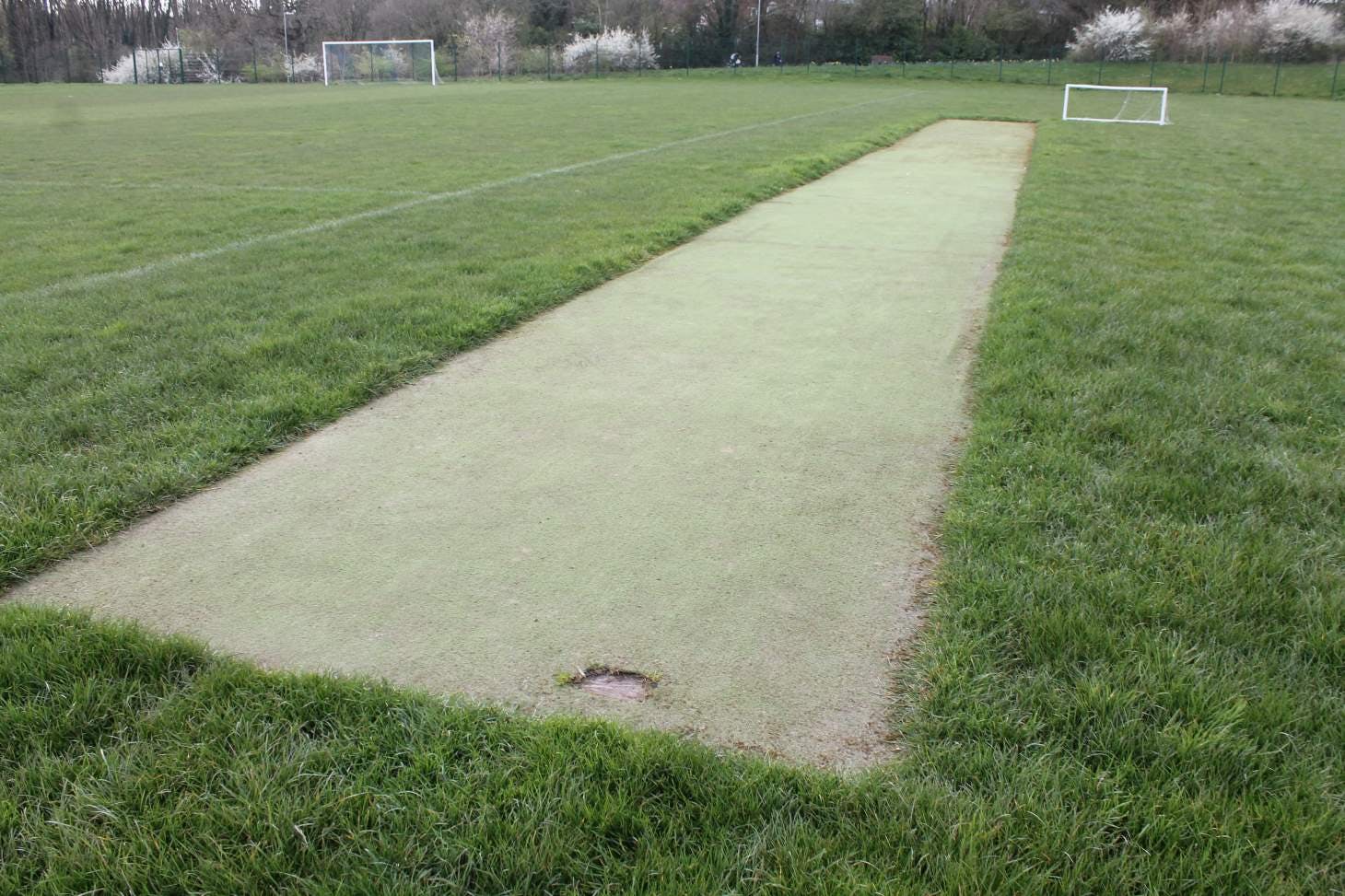 Holy Trinity Academy Outdoor | Grass cricket facilities