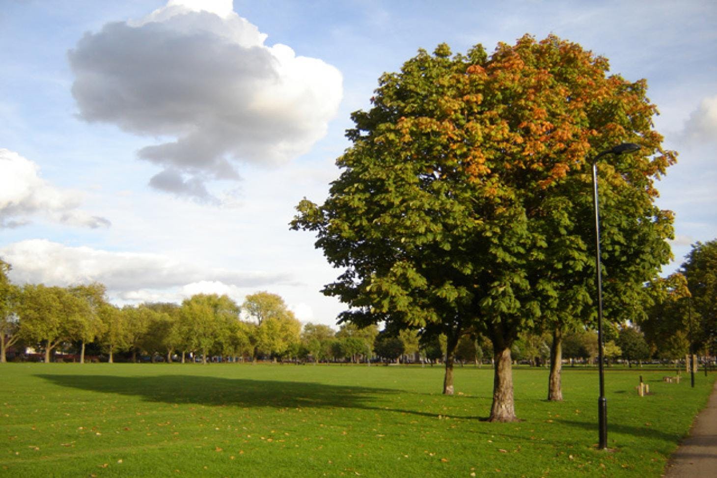 Hackney Downs Park Full size | Artificial cricket facilities