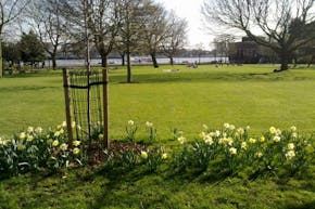 King Edward Memorial Park | Hard (macadam) Tennis Court