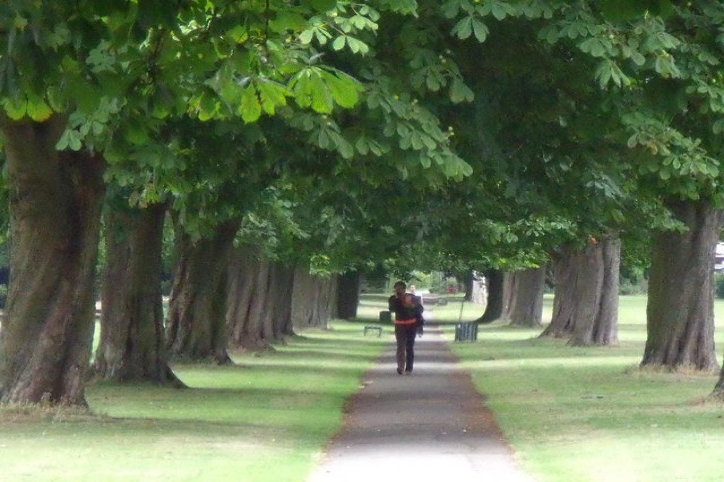 Bush Hill Park, Enfield Football Pitches Playfinder