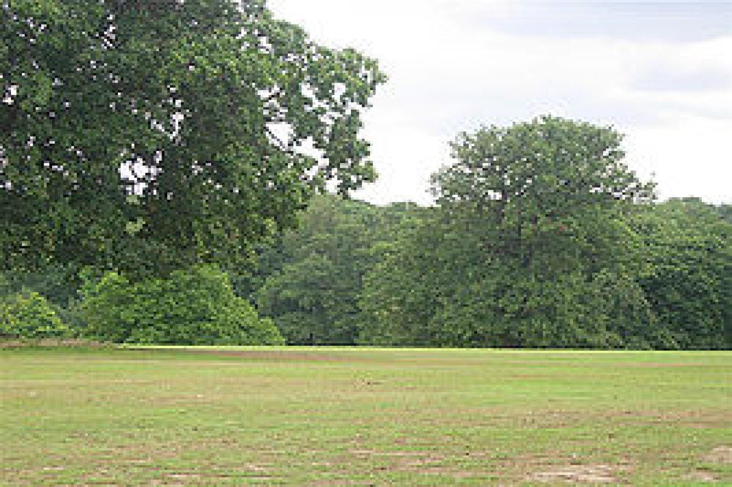 Grovelands Park Outdoor | Hard (macadam) tennis court