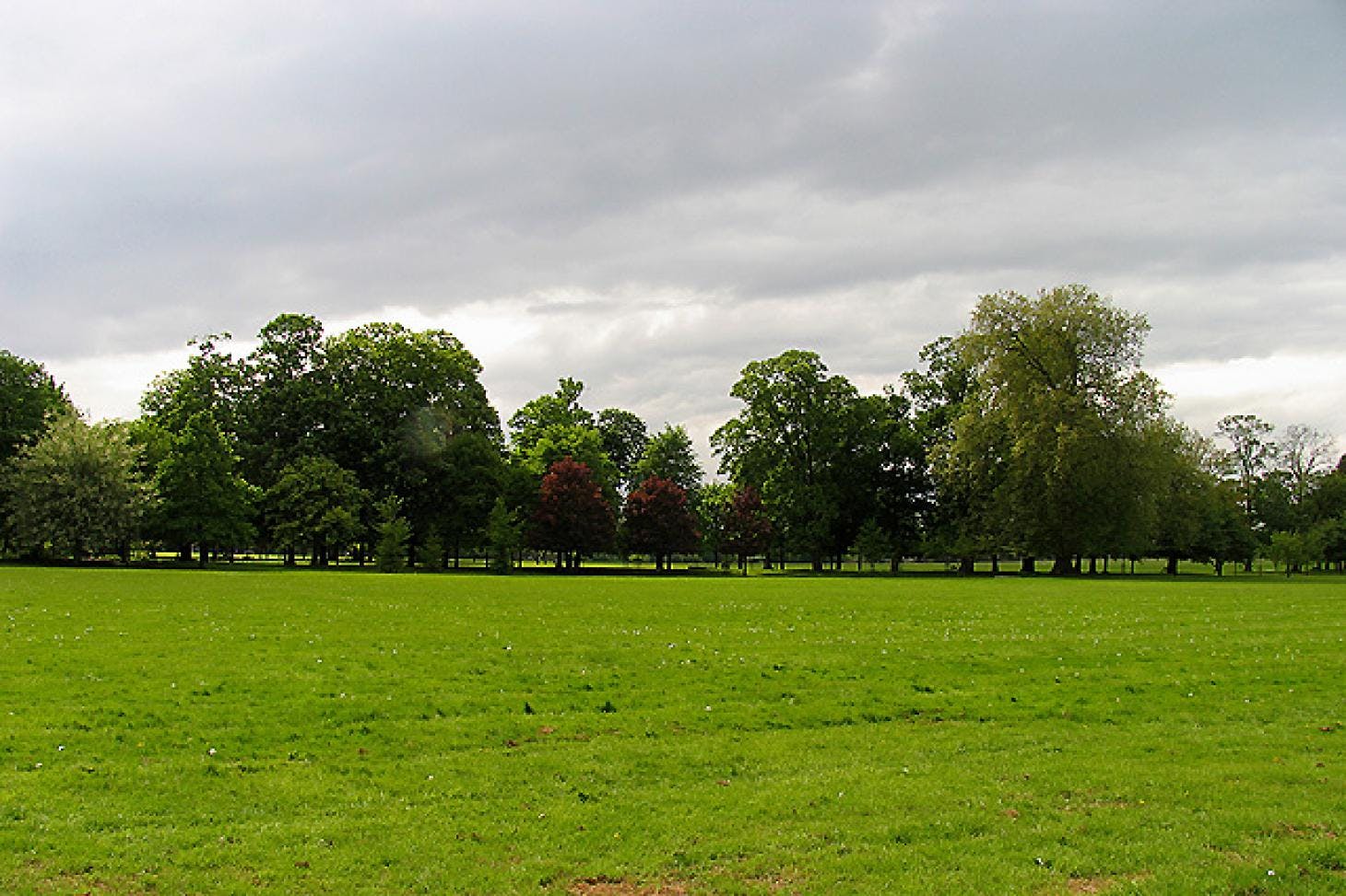 Gunnersbury Park Sports Hub Union rugby pitch