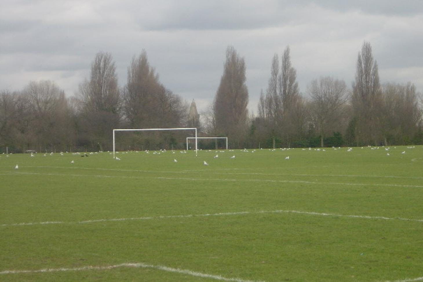 Sir Joseph Hood Memorial Playing Fields, Merton Sports Facility Hire