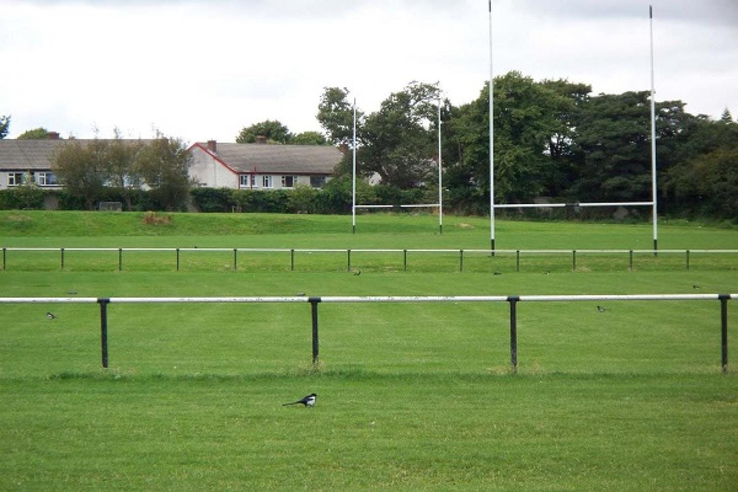 Hyde Park 11 a side | Grass football pitch