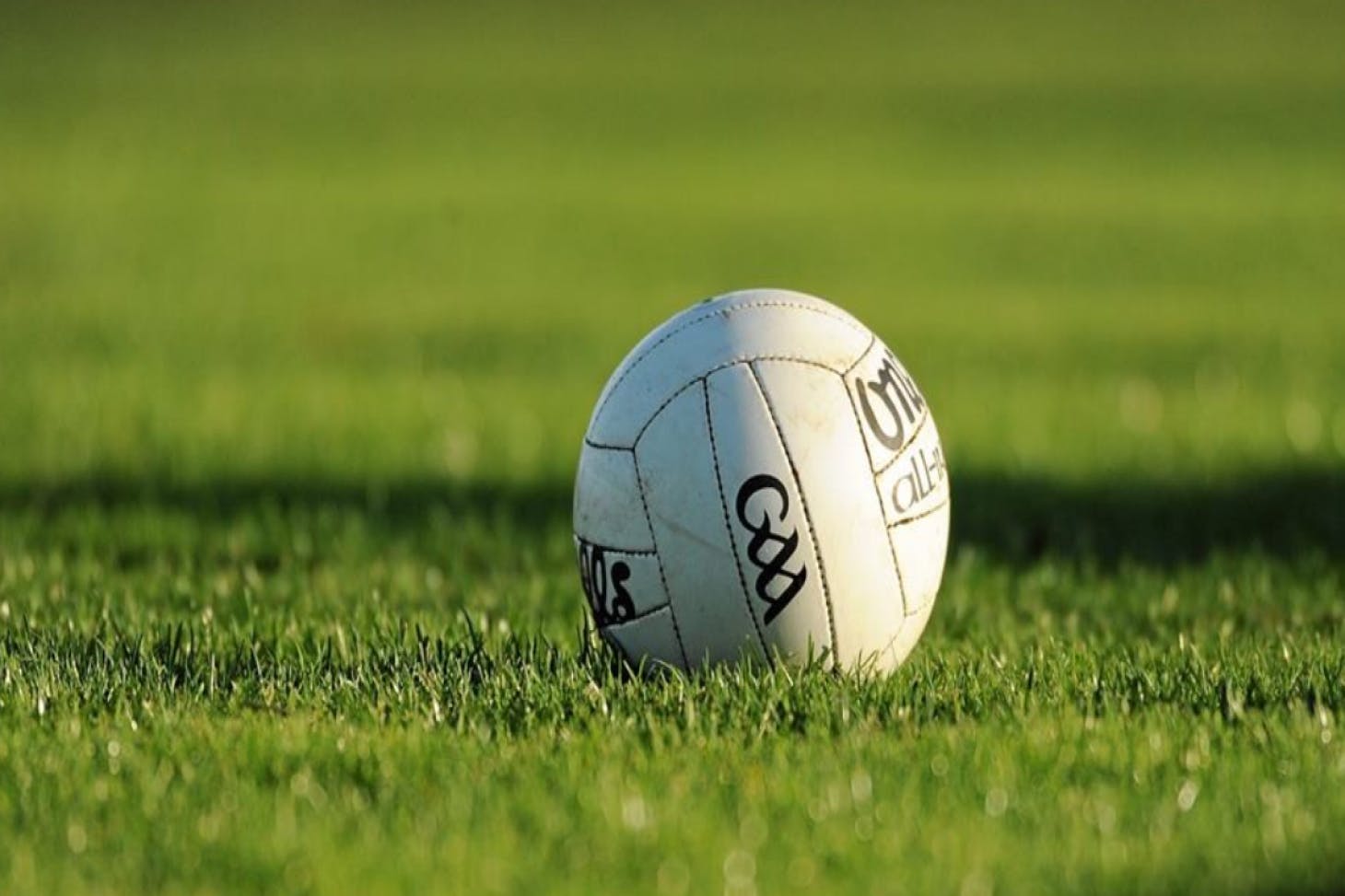Raheny GAA Club Full size | Grass gaa pitch
