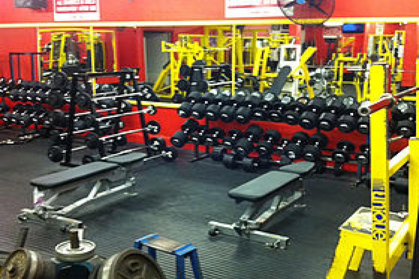 Gym 1, Luton Gym Playfinder