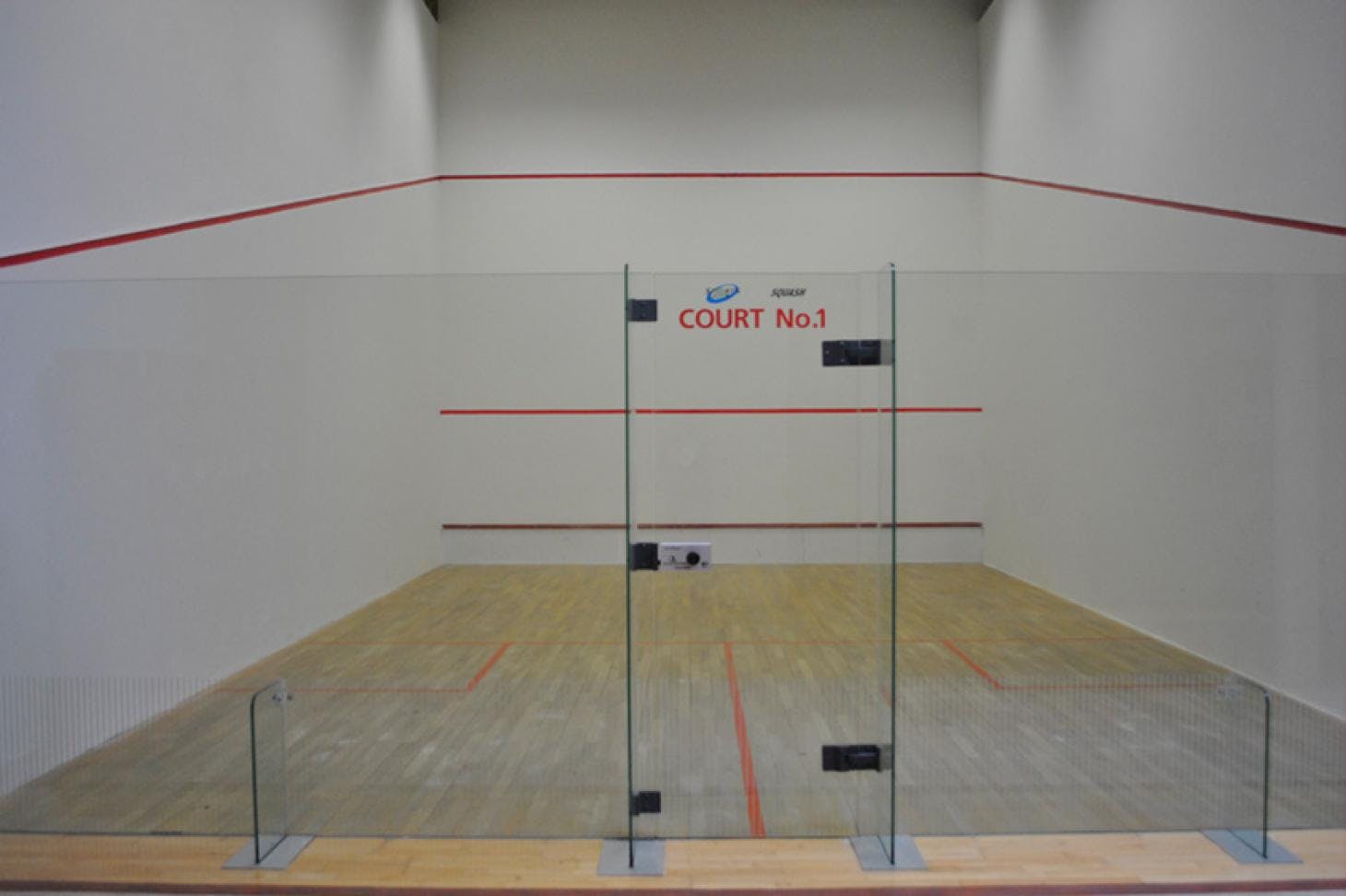 Sportslink, Co. Dublin | Squash Court | Playfinder