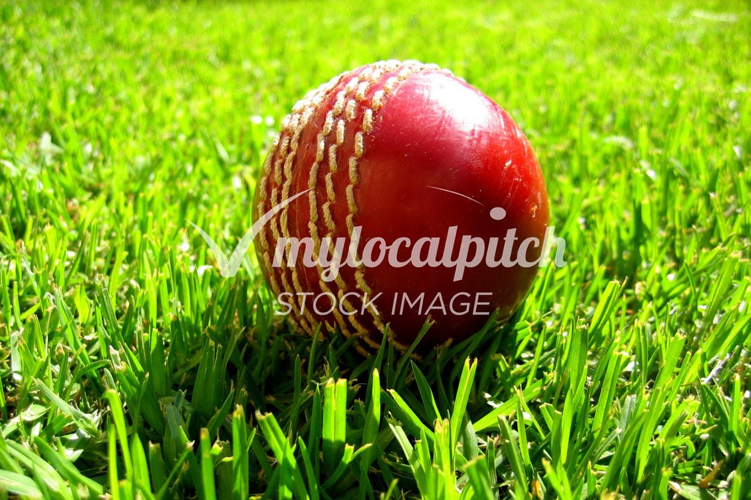 Desborough College Full size | Grass cricket facilities
