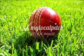 Fairlop Oak Playing Field | Grass Cricket Facilities
