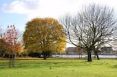 King Edward VII Park